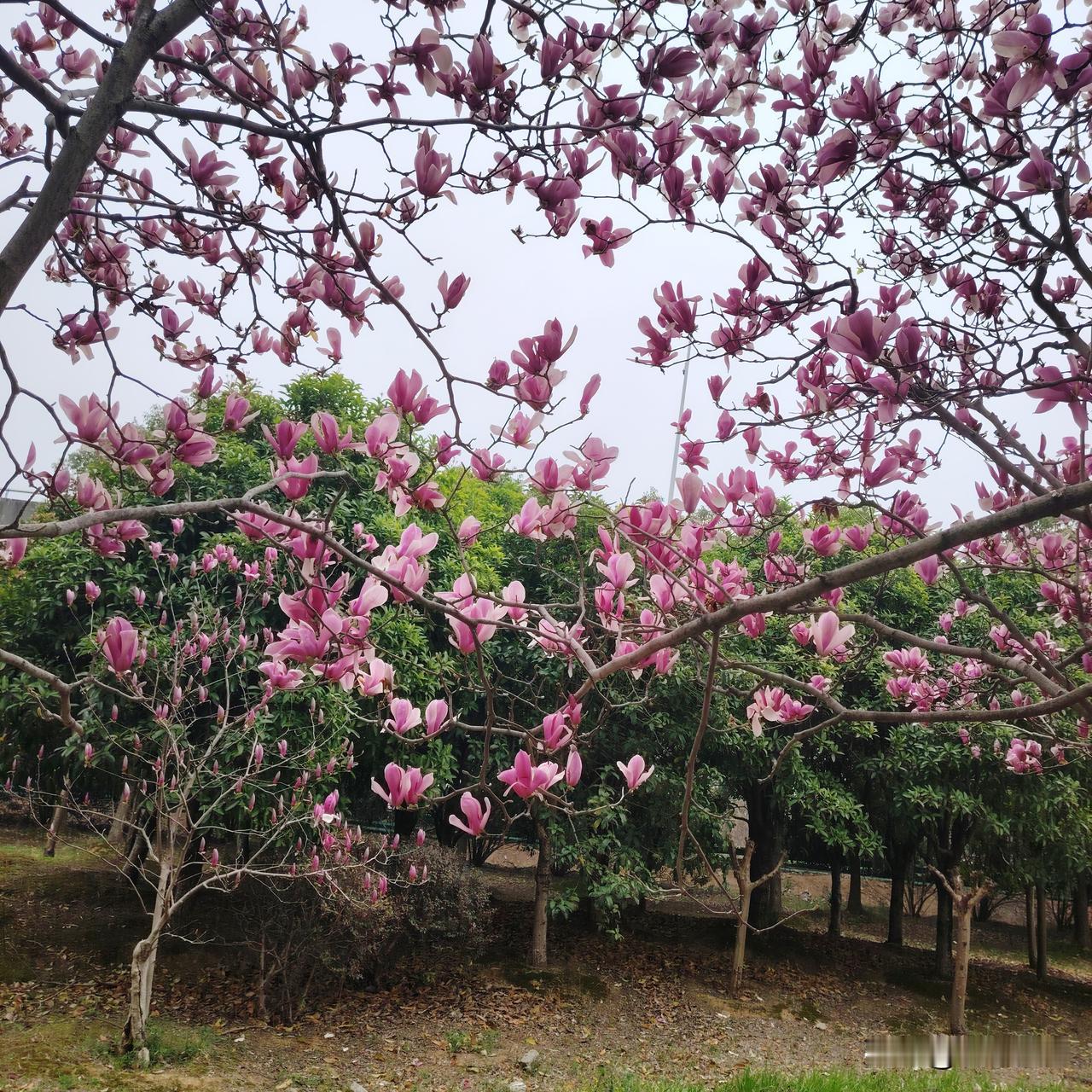38岁，我在家长群里发了一条消息，撤回不了了

上周五下午，公司开季度总结会。