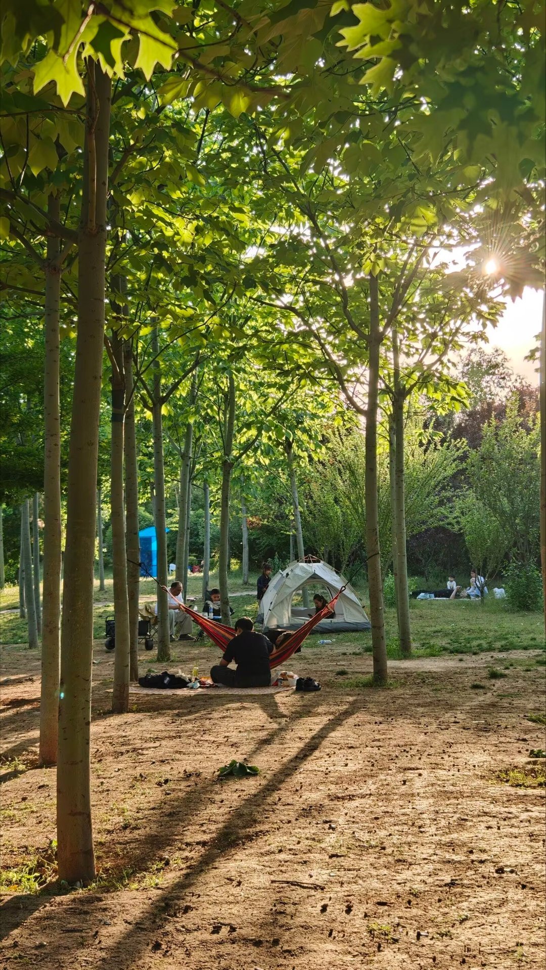 一起过五一劳动节 阳光正好，微风不燥。林间乘凉、草地野餐、追风放风筝。伴着温柔晚