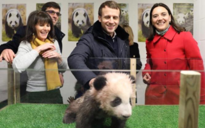 马克龙再访中国，礼遇变冷淡，合作账单谁来算。
2023年马克龙来中国时，铺红毯、