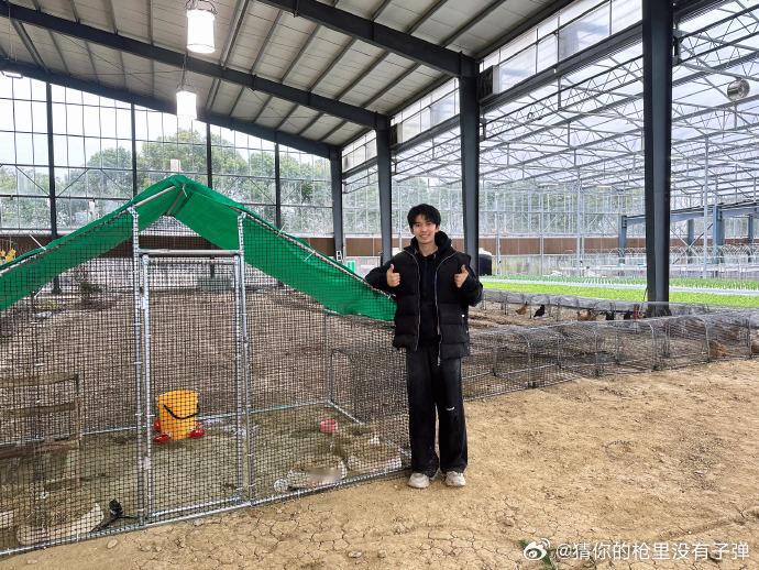 赵小童绿色有鸡农业项目启动  家人们谁懂，赵小童绿色有鸡农业项目正式启动，后陡门