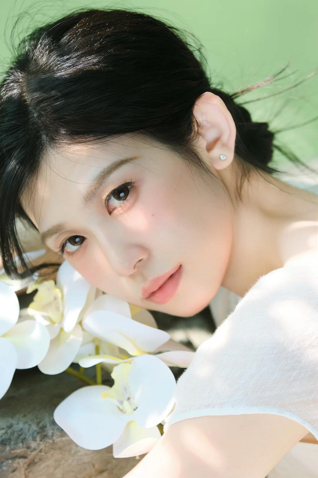 “树影摇晃的夏天”