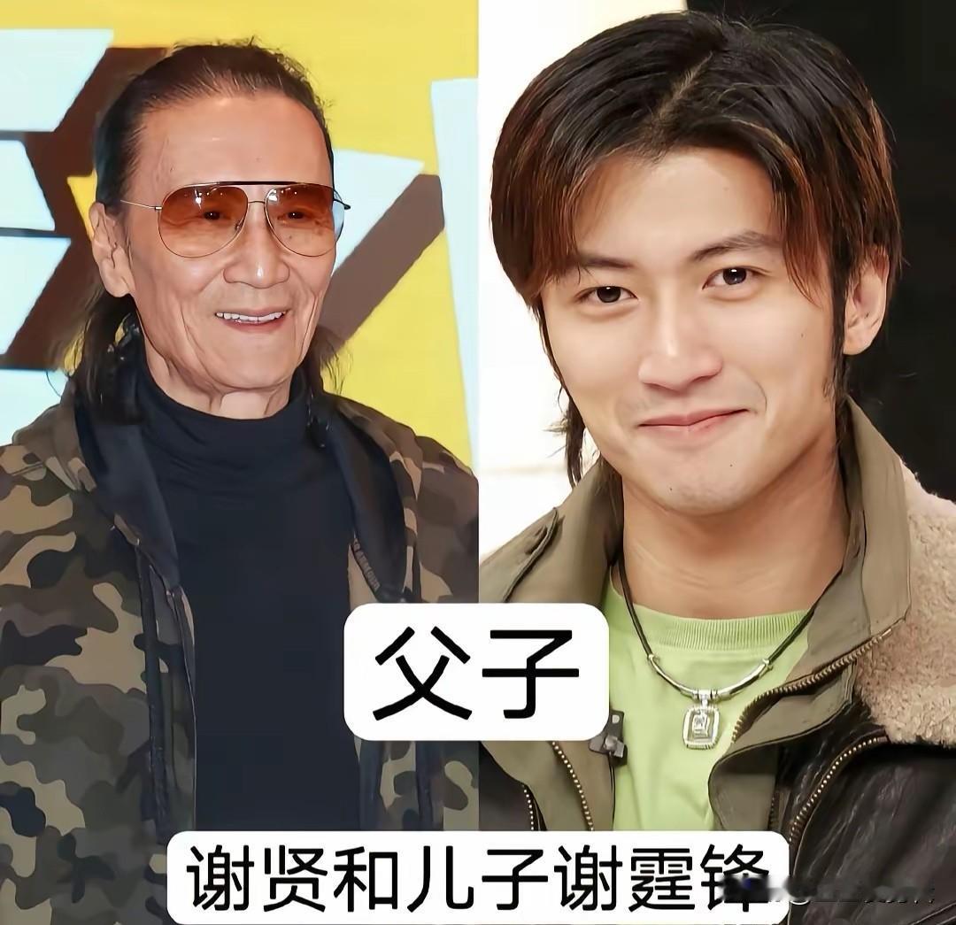 演艺圈子承父业，谢贤与谢霆锋两代港星，人生轨迹既相似又截然不同。
谢贤是老牌香港