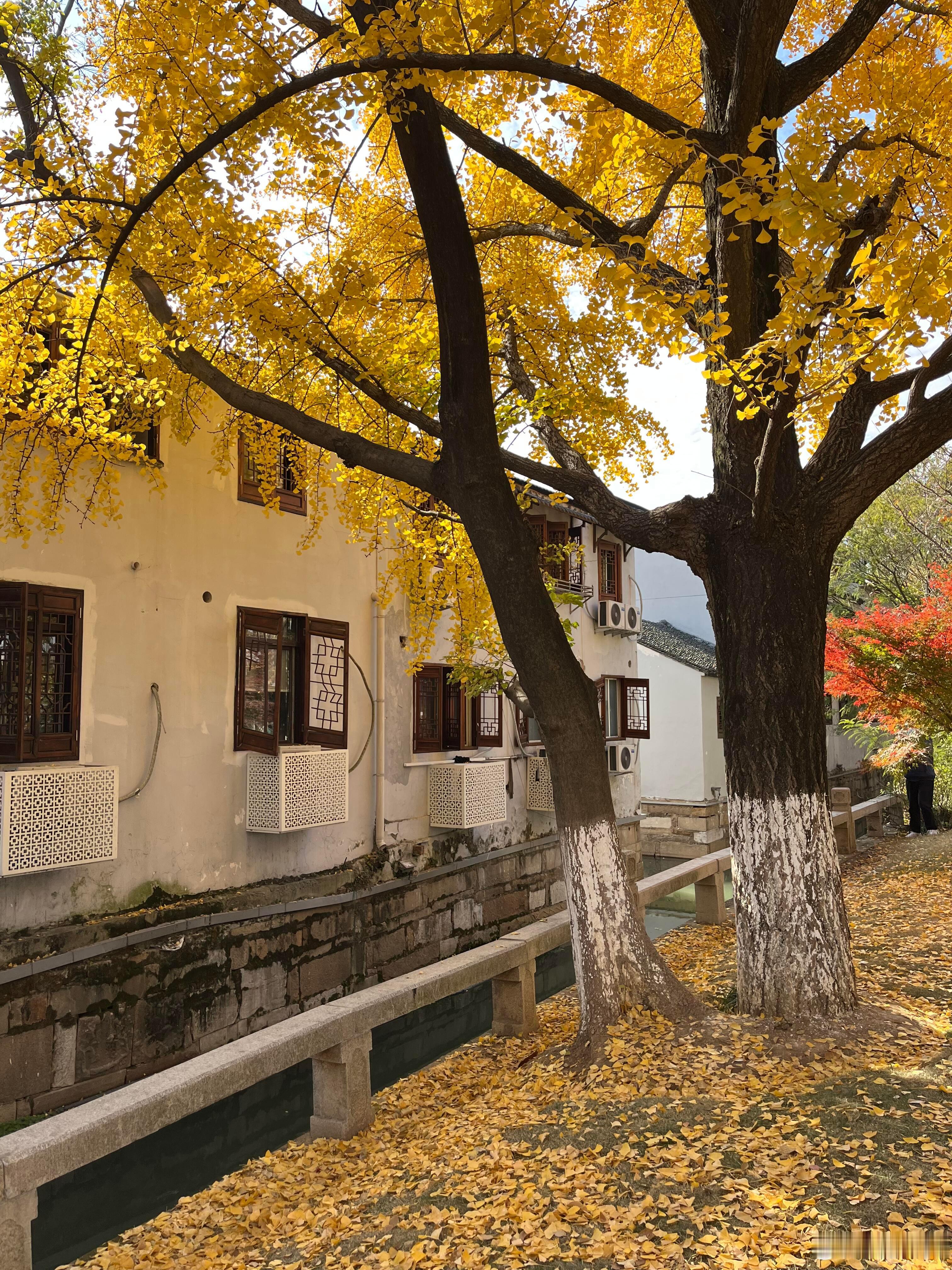 我允许关系中有松弛感，不必时时刻刻豆紧绷和完美。情感树洞人生的100种可能