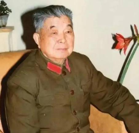 1953年，西康军区司令员刘忠回了一趟老家，本来是去看望多年没见面的老母亲，却没