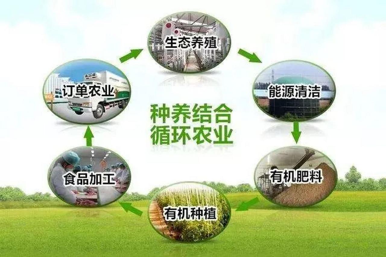 循环农业是农业+文旅的一种最佳赛道。
在众多农文旅融合模式当中，循环农业与文旅的