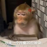 当代大学生减肥的精神状态 发誓要啃一周黄瓜的誓言还挂在宿舍床头，转眼就被楼下的关