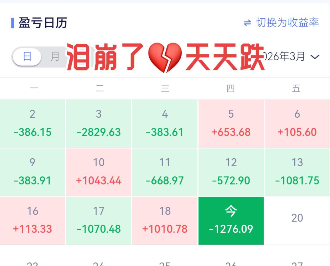 每日盈亏记录 我的投资日历