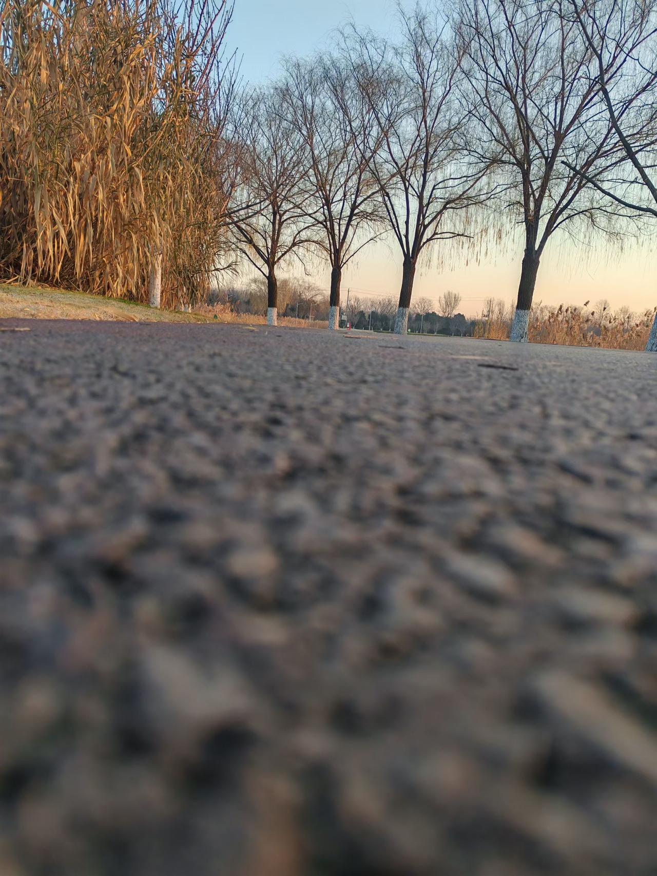 40岁了，还焦虑啥呀。都到这年纪，得不到的就放手，不好的就舍弃。整理整理心情，忘