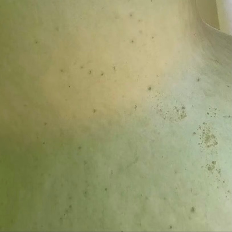 善良是一种修养，善待他人就是善待自己，要想得到别人的爱，首先要学会爱别人，一个善