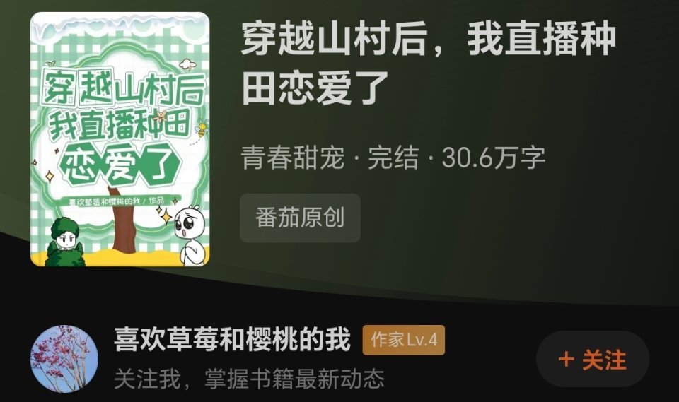 扫文记录bg扫文 《穿越山村后，我直播种田恋爱了》   穿越，直播总体来说是一本