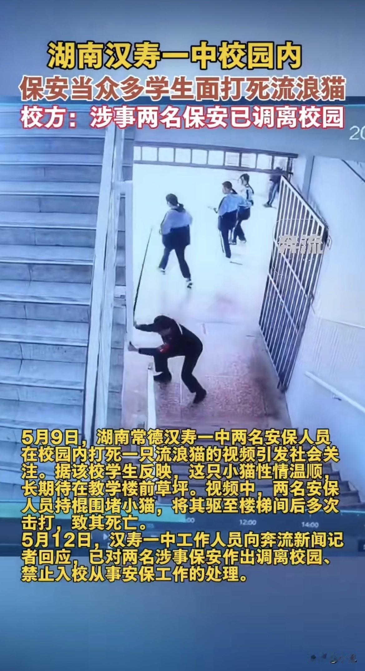 湖南汉寿一中，两个保安，两根长棍，把一只白猫堵在楼梯间，一下一下打下去。走廊上有