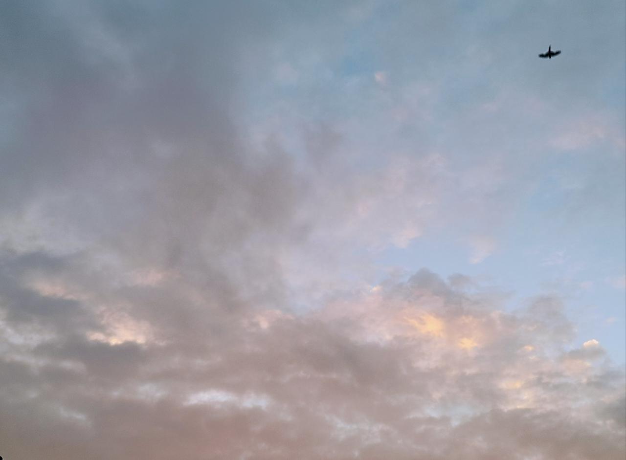 0元玩转这座城生态自驾观光记家乡最美景点乡间小路自然风景