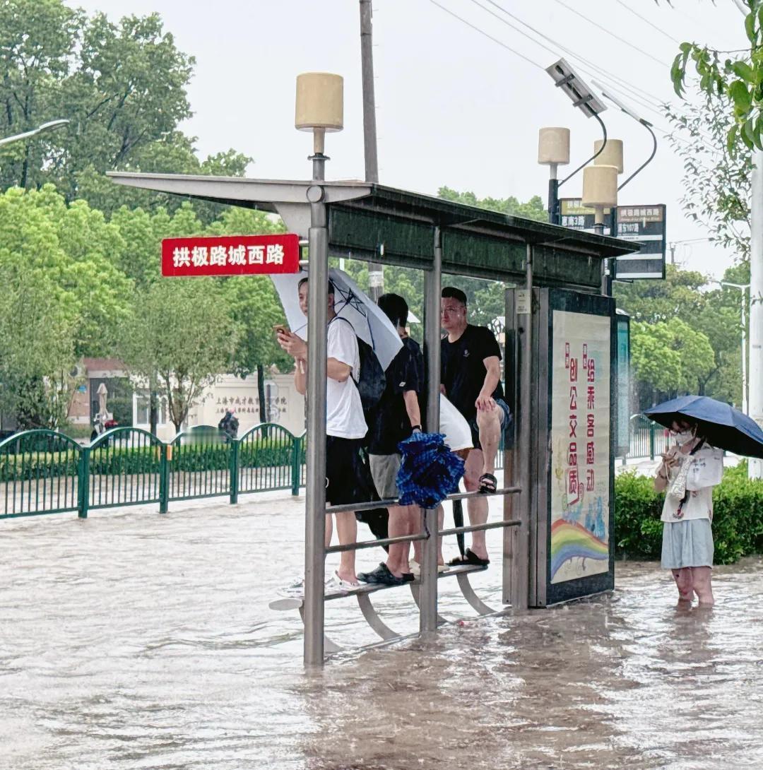 #一句话分享秋日生活#我等的船还不来，我的人还不明白，这个场景，配这首歌，绝配的
