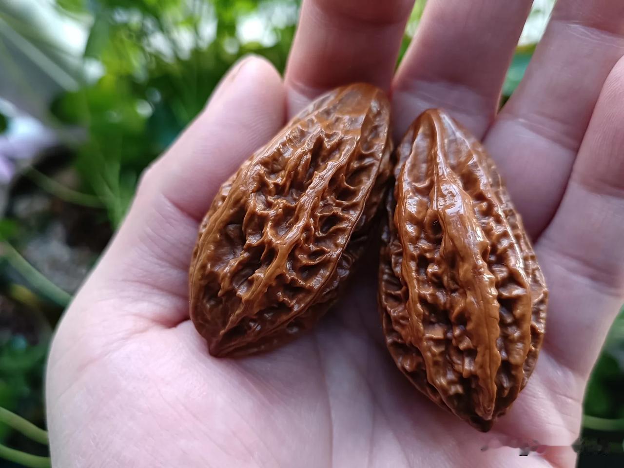 今日晒楸子核桃！
这对几十块的核桃转眼间也两年多了，盘刷的时间也不短，除了肉眼可