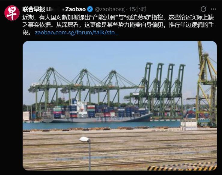 新加坡这回感觉到痛了，老大哥开始对他发难！也真是，这个某大国就连这么一个小弟也不