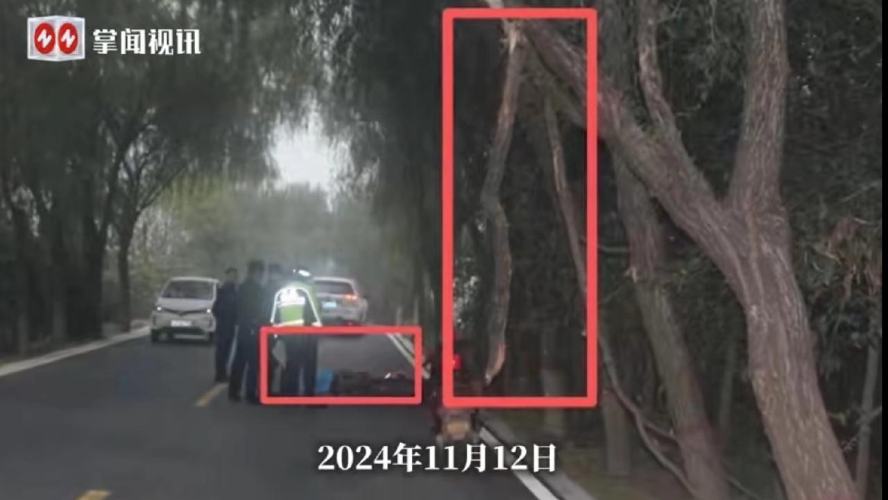 陕西咸阳，56岁女教师值夜班，为了方便她骑电动车前往学校，不料，途中被路边树木悬