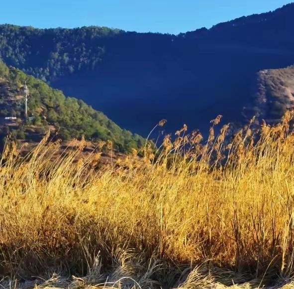 过去我过不明白一个父亲对于一个家庭的作用，觉得母亲在，家就在。现在我才明白，父亲