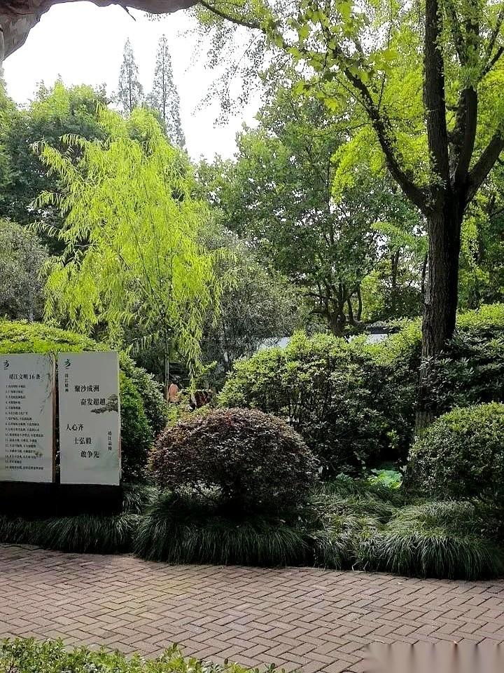 刚才把体检报告死死扣在桌面上那一刻，我突然觉得挺可笑的。
不敢看。
真不敢看。