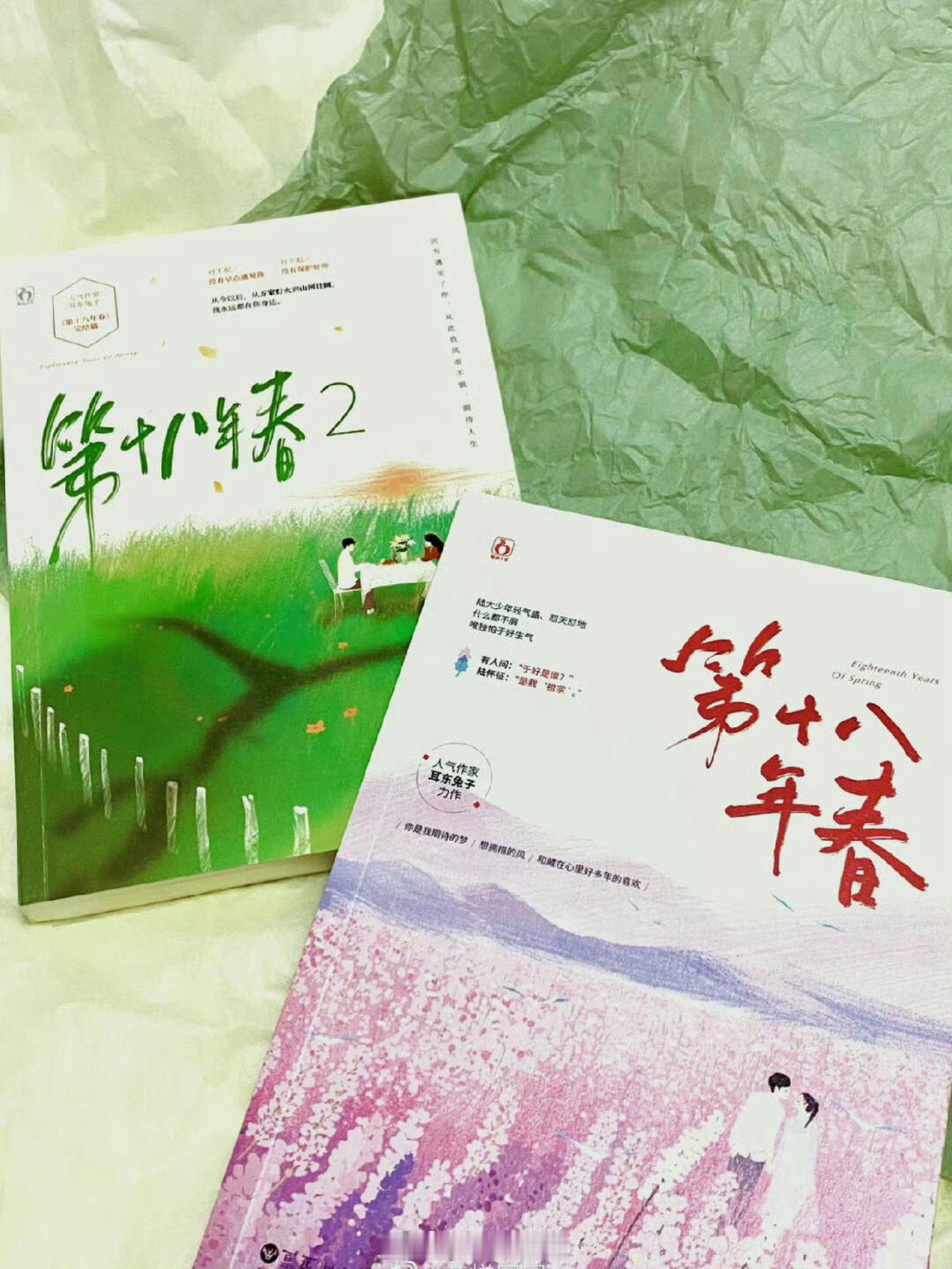 腾讯都市剧《第二十八年春》主演：王天辰、郭晓婷 导演：黄天仁《想见你》简介：根据