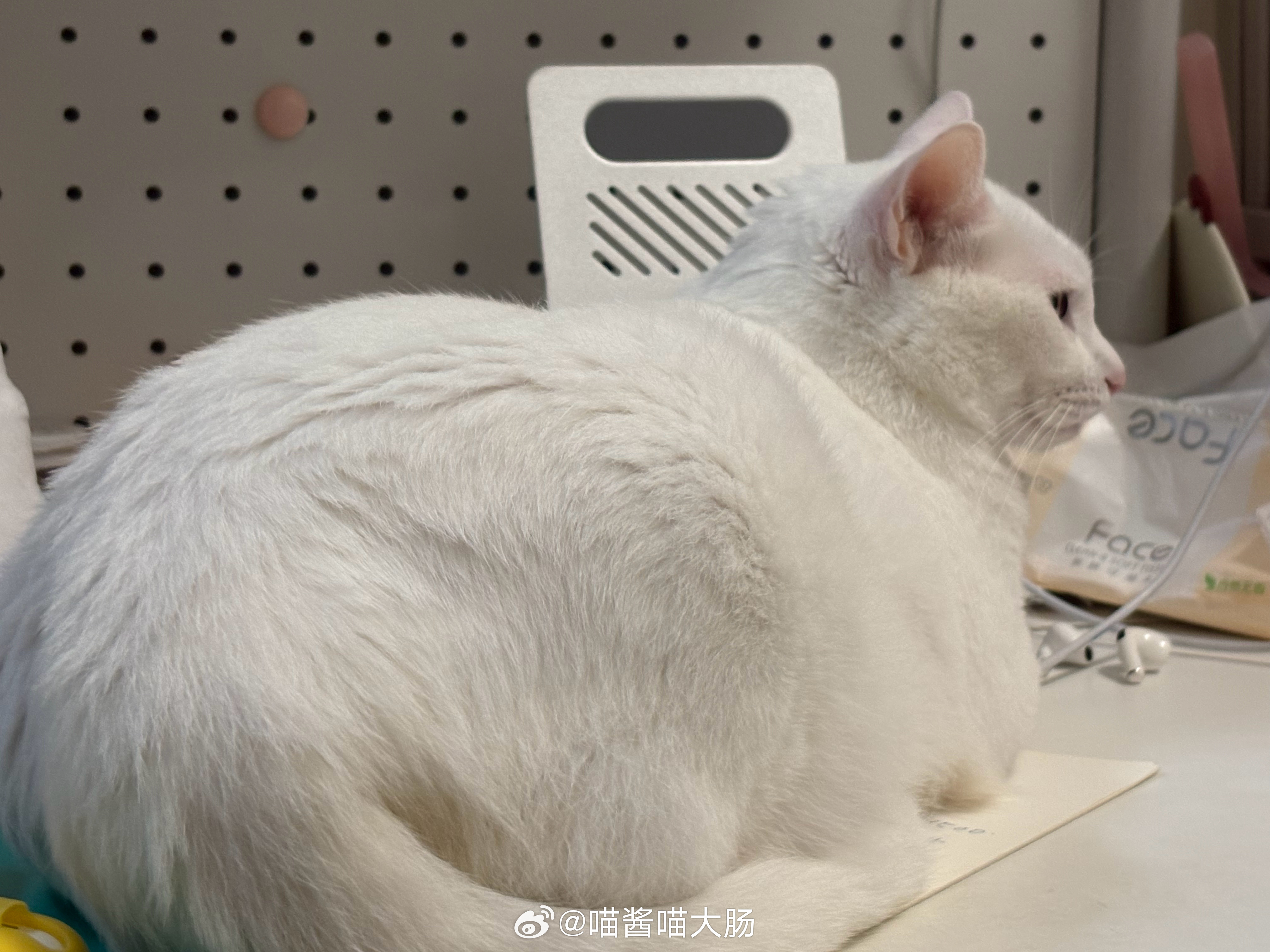 大馒头 ​​​
