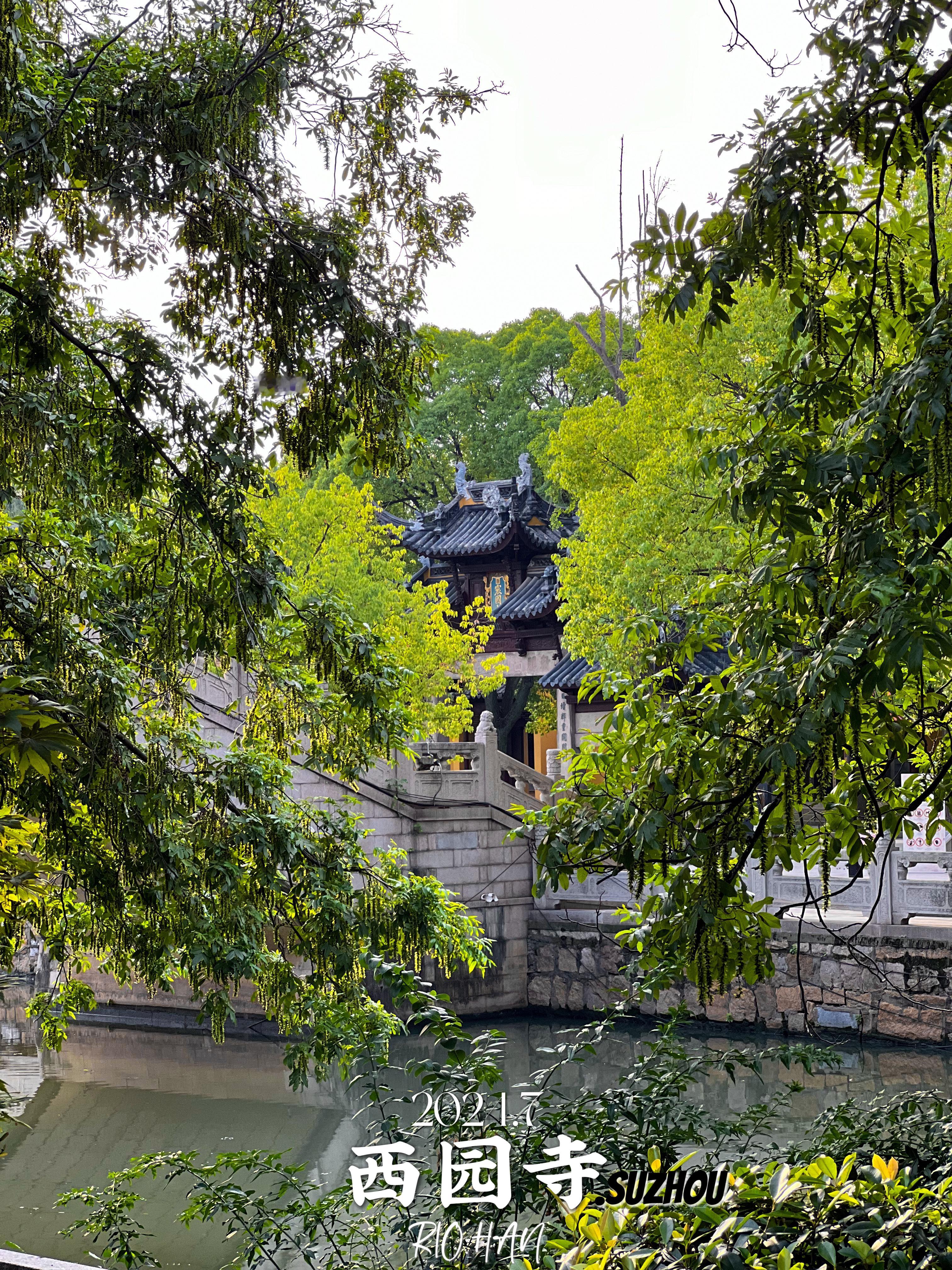 君到姑苏见  人家尽枕河 ​​​