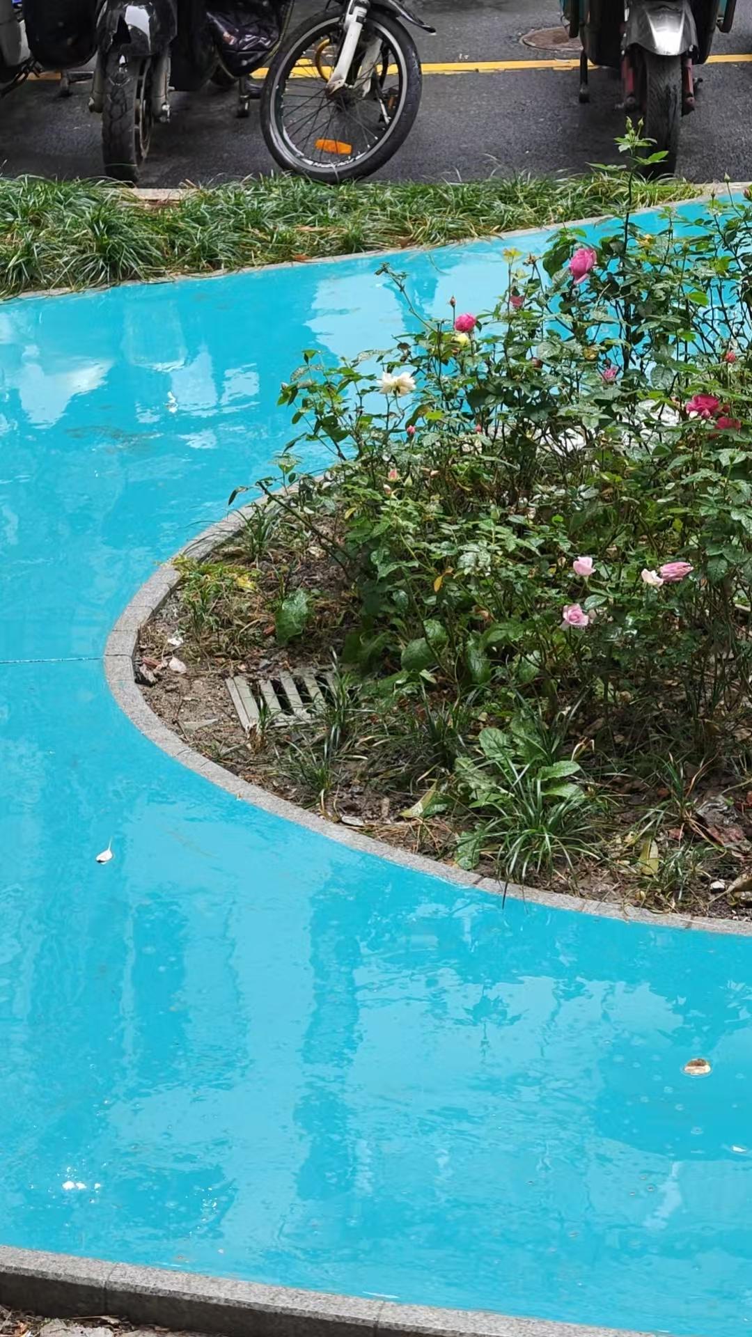 陪着老爸在上海交通大学第九医院看病，今天是我来的第三个清晨。

12月3日出院，