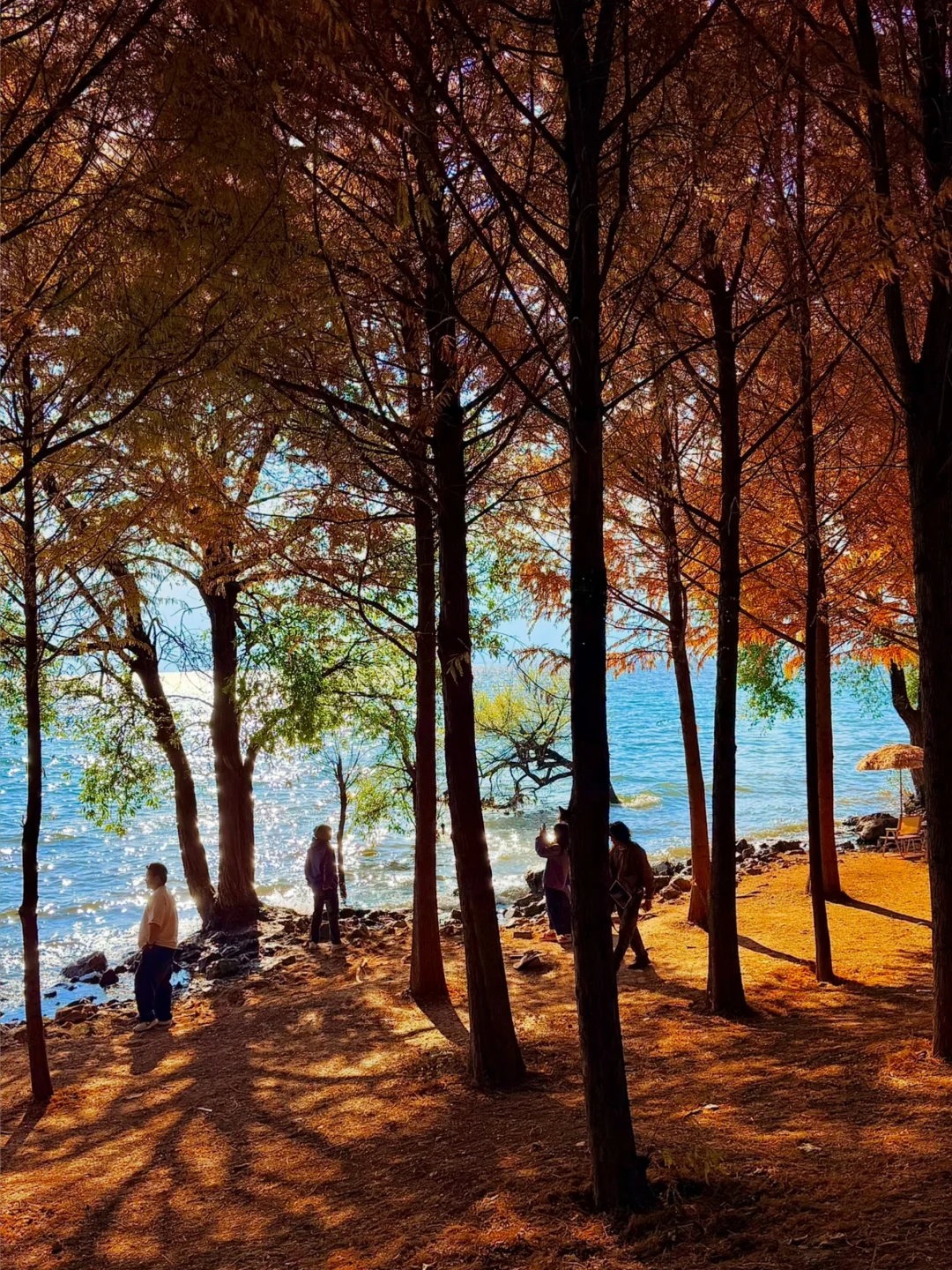 大理新发现的！可以看到jue美日落！！美哭我了