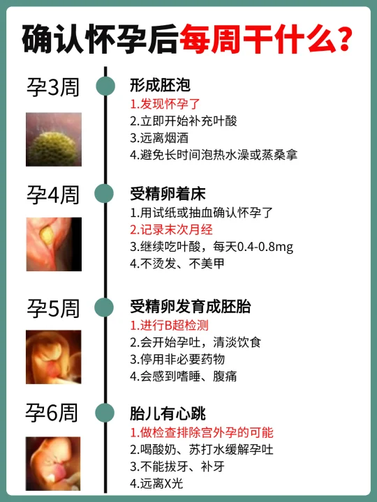 确认怀孕后，每周要注意什么？要干什么？