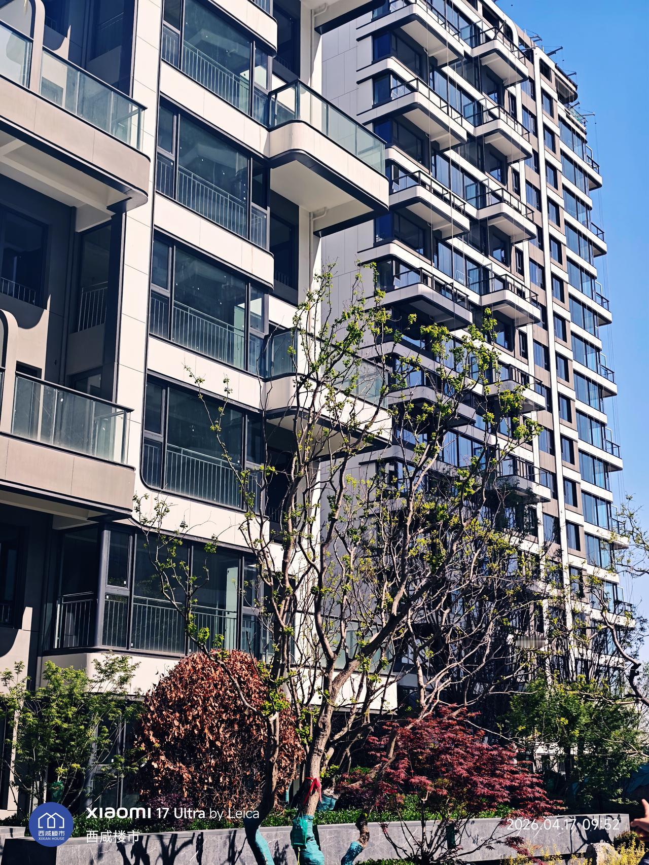 今天把房子定了。就这样吧，无所谓了！孩子能上学最重要！