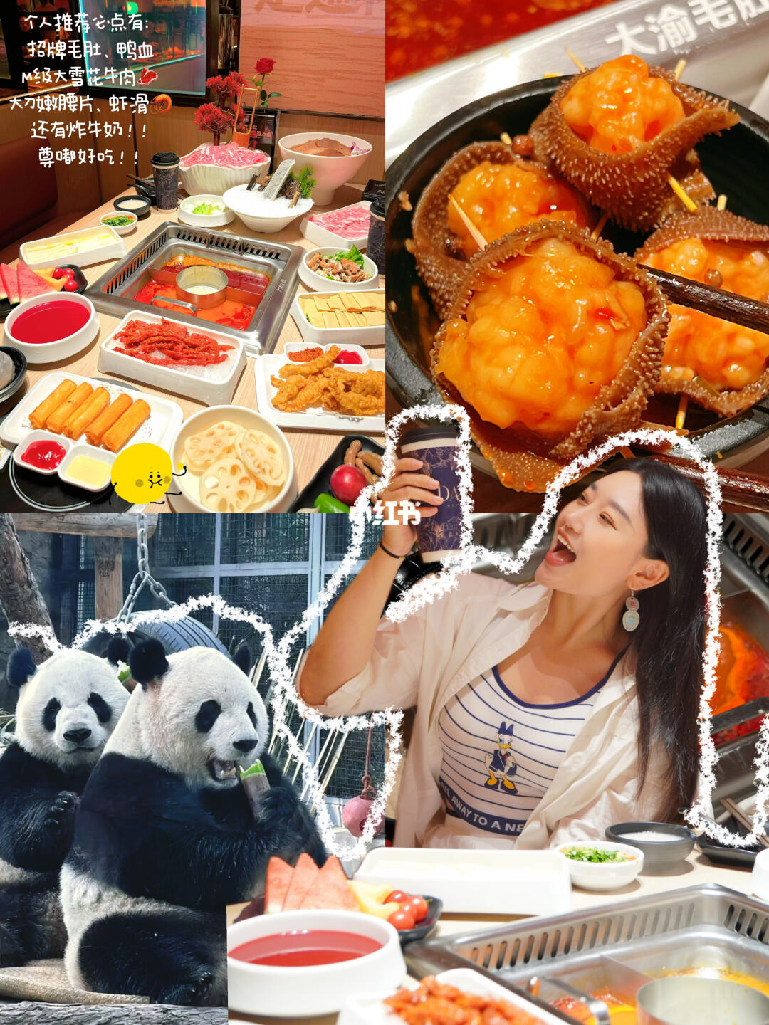 西直门！！看完萌兰吃火锅！川渝一条龙拿捏！🐼