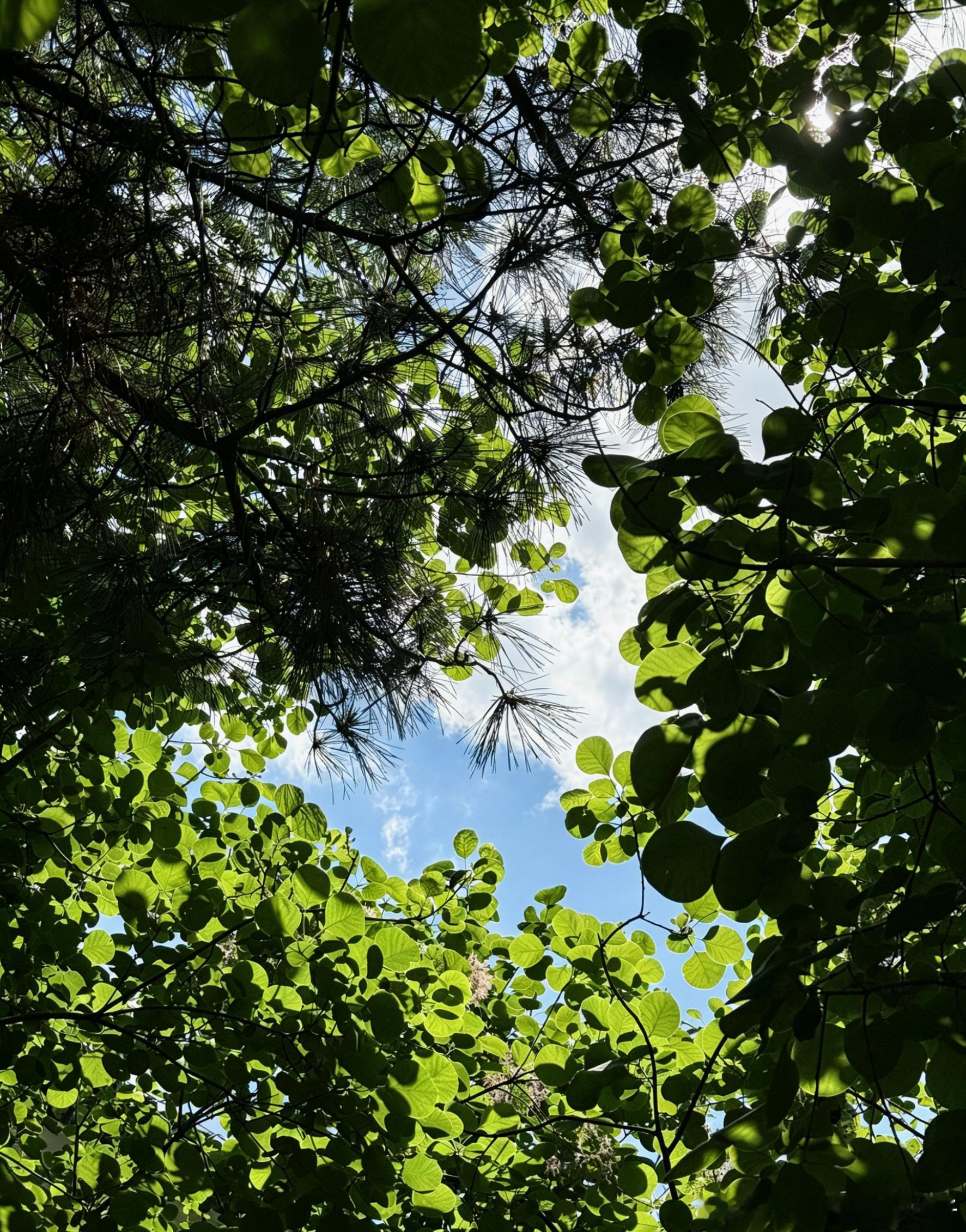 超会买指南618时髦开局OOTD夏天里的一抹绿🍃借一抹自然绿意 抚平日常琐碎 