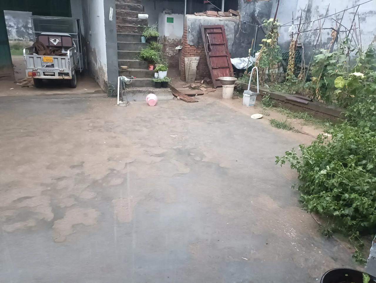 听雨，久违了！
   今天早上，河南豫东，一场久违的大雨正在酣畅淋漓的下着，坐在