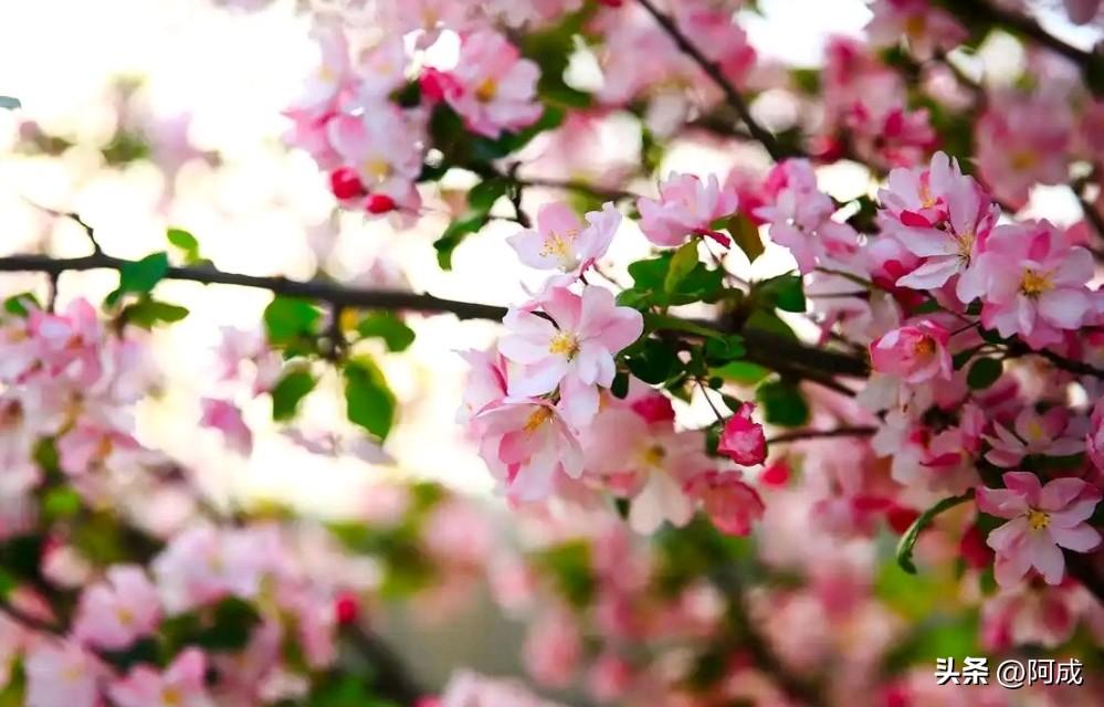 任何时候，都别怀疑自己的价值与努力的意义。不必因他人的光芒苛责自己，也不必因遥远