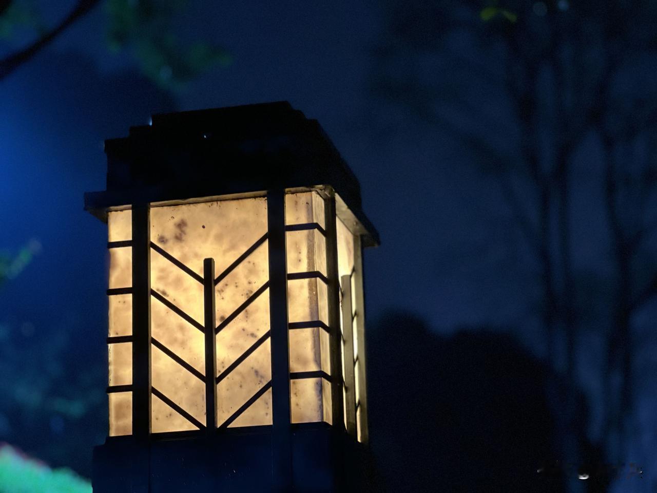 连绵的春雨终于停歇，湿润的晚风轻轻拂过枝头。片片花瓣被雨水打落，软软地粘在微凉的