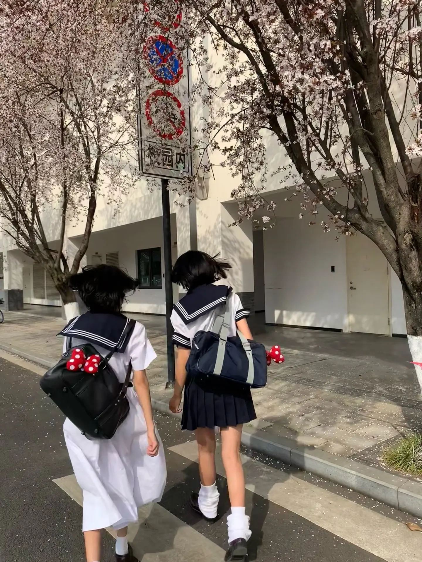 女子高中生的虚度日常Z☡zᶻ ⌁。