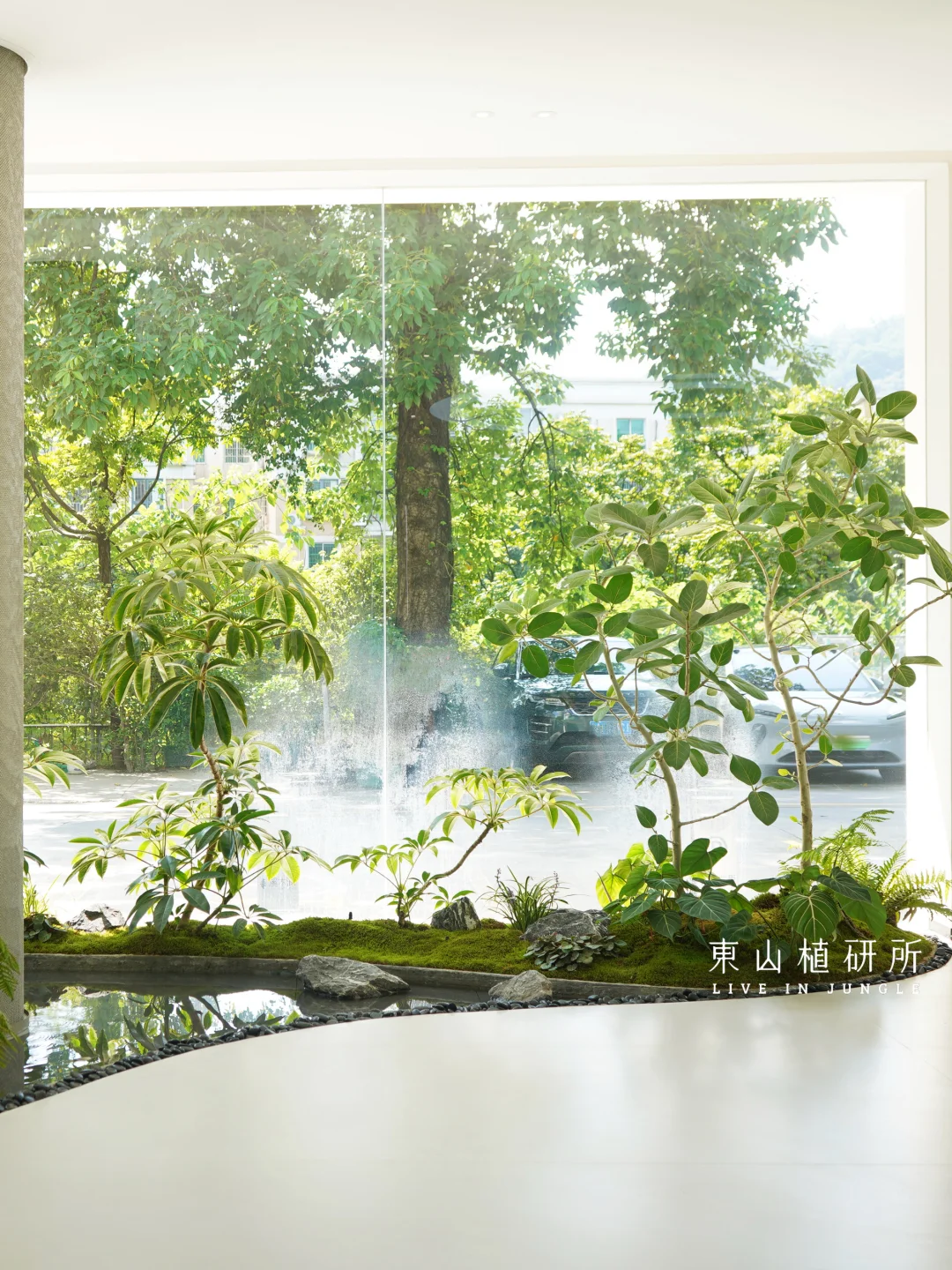 东植 x 溪木源|邂逅一池自然诗意 绿植设计