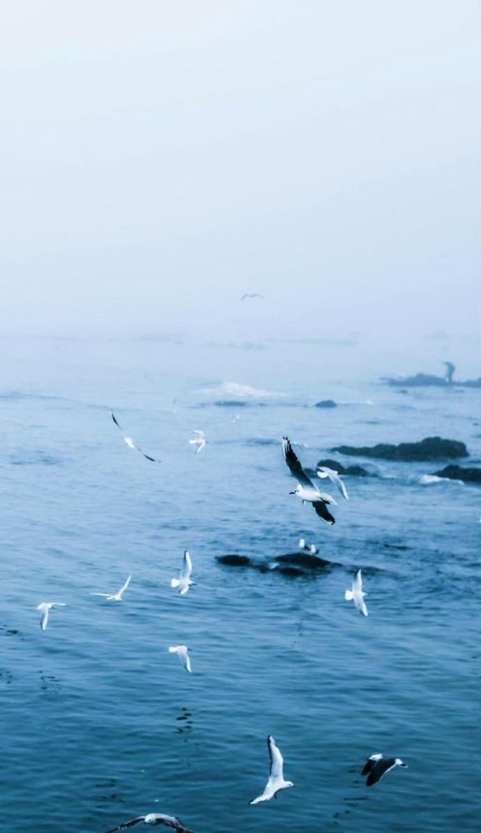 看海看久了想见人，见人见多了想看海。 —— 村上春树《且听风吟》 