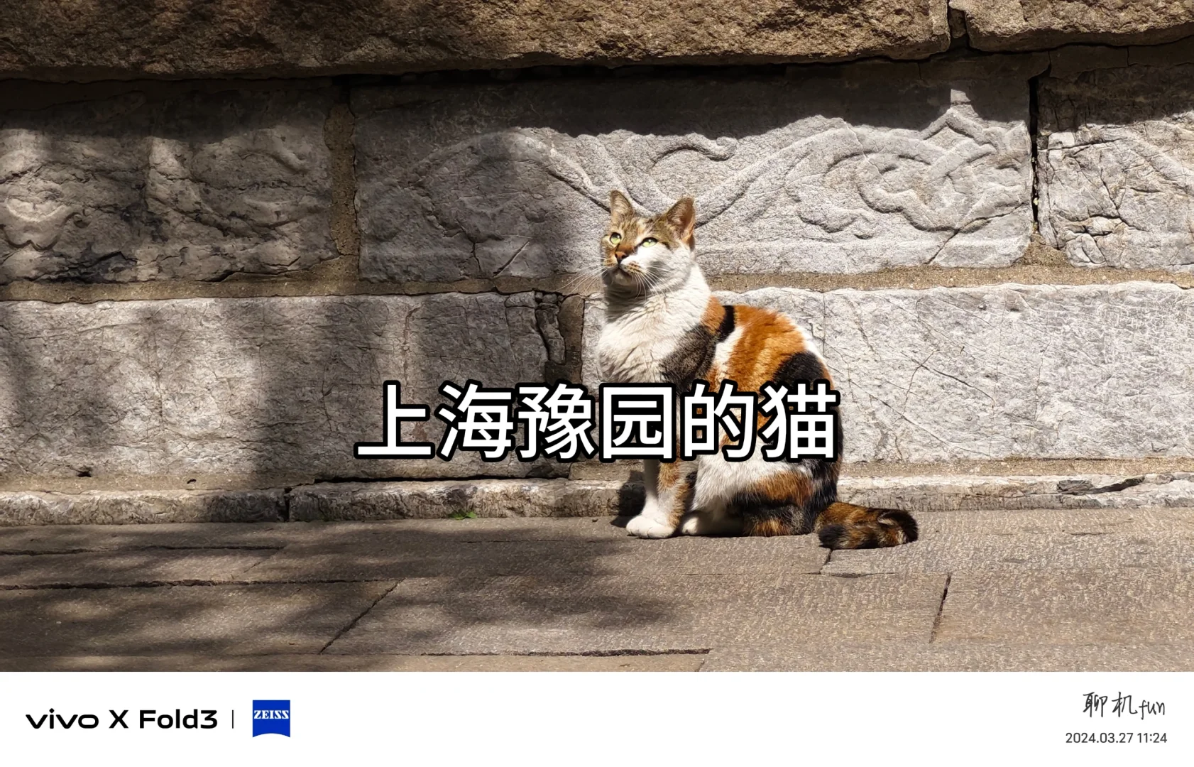 上海豫园的猫，vivo X Fold3