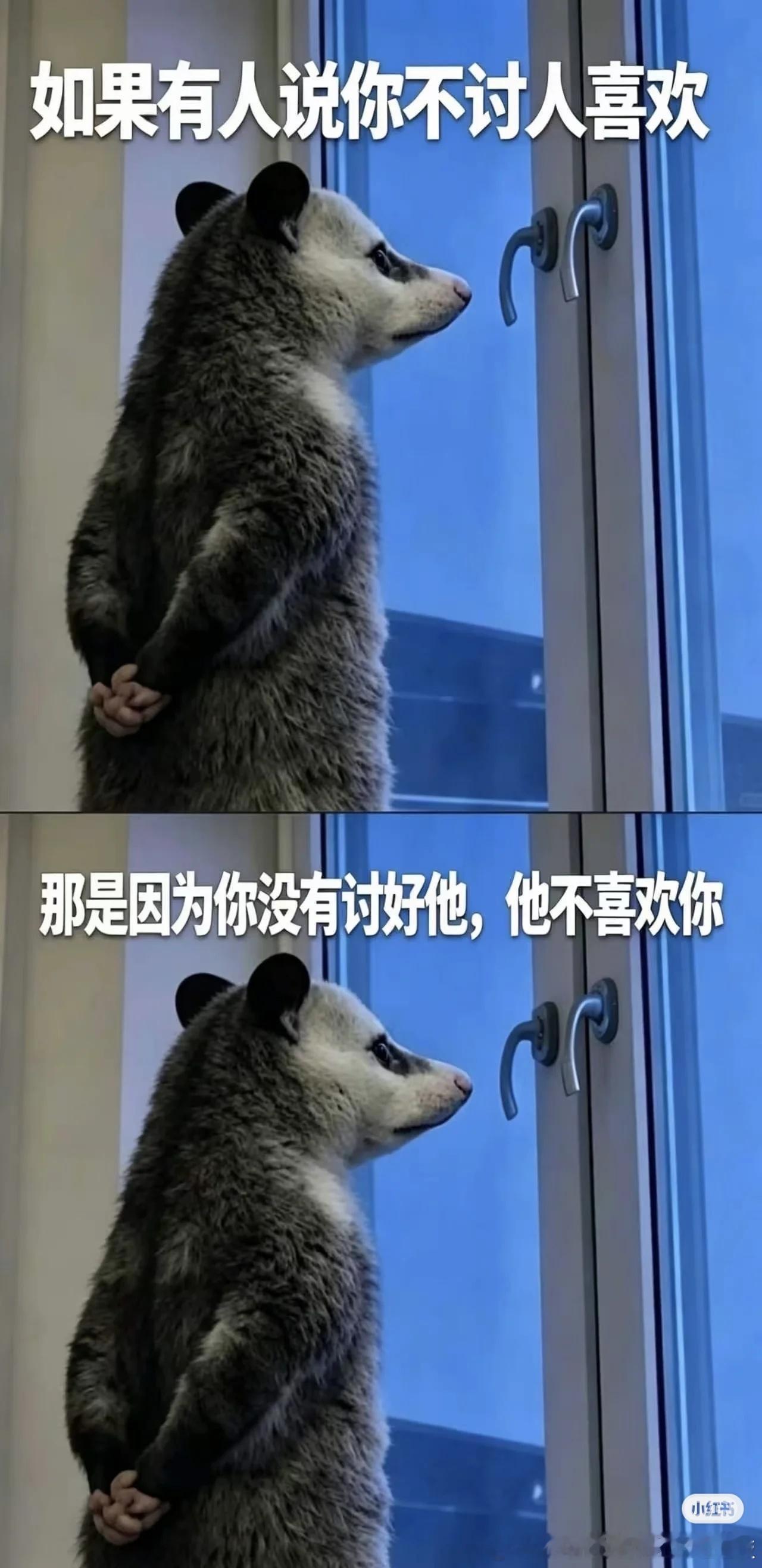 鼠鼠说的对！～当你活成让所有人都夸你，那你可就吃了“大亏”了！因为“夸”=“大亏