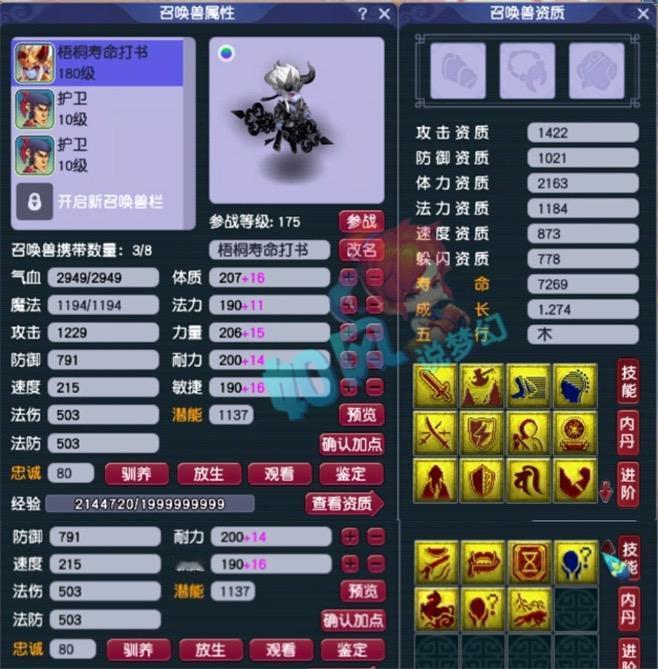 全服第一的19技净台童子成品，有净台、神马、善恶、力劈、法防5个特殊技能，真的太