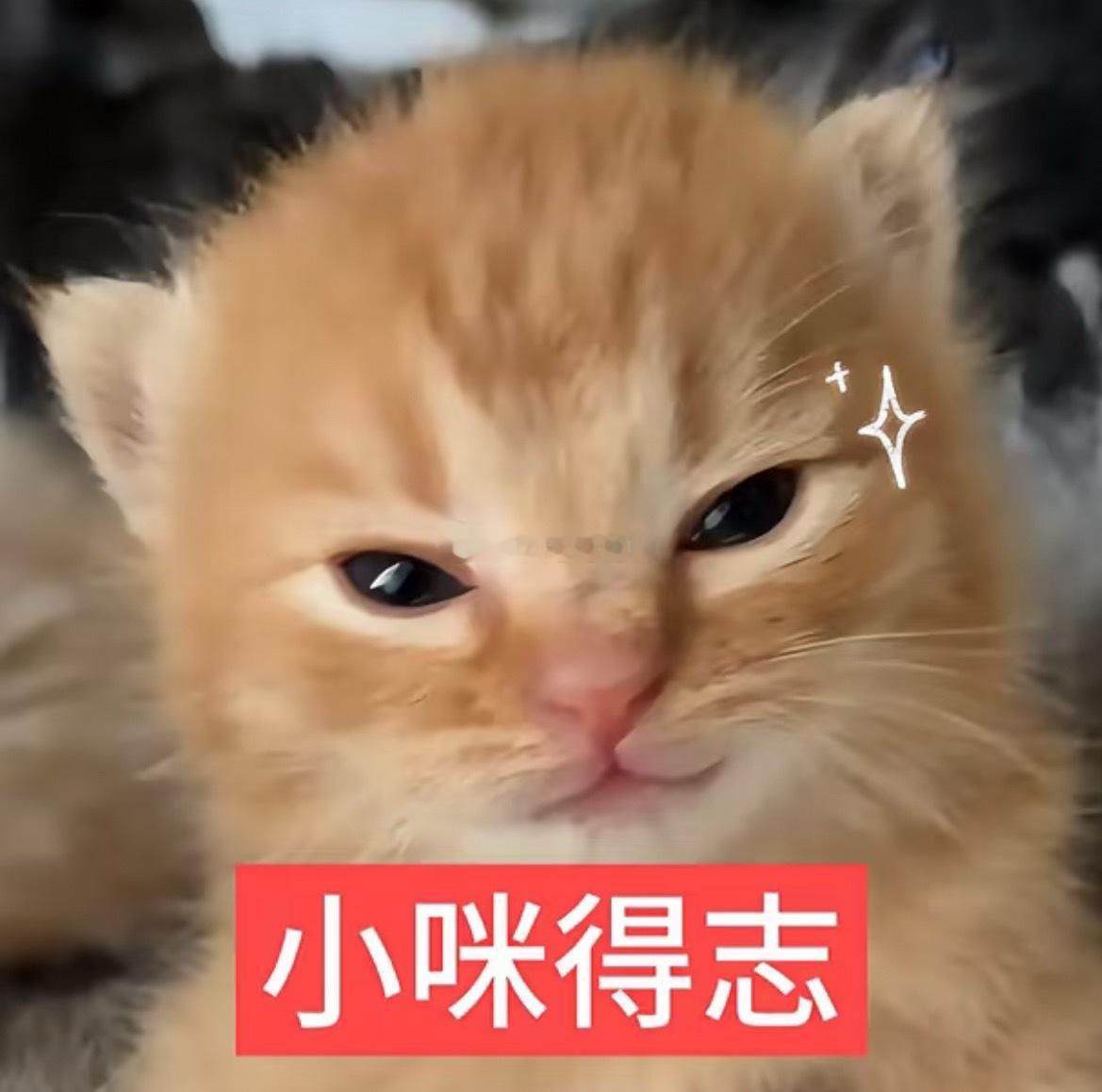 昨晚哭着哭着就和🐺算账🐰：你为什么不打我呜呜呜🐺：我上次打了呀！你冤枉我?