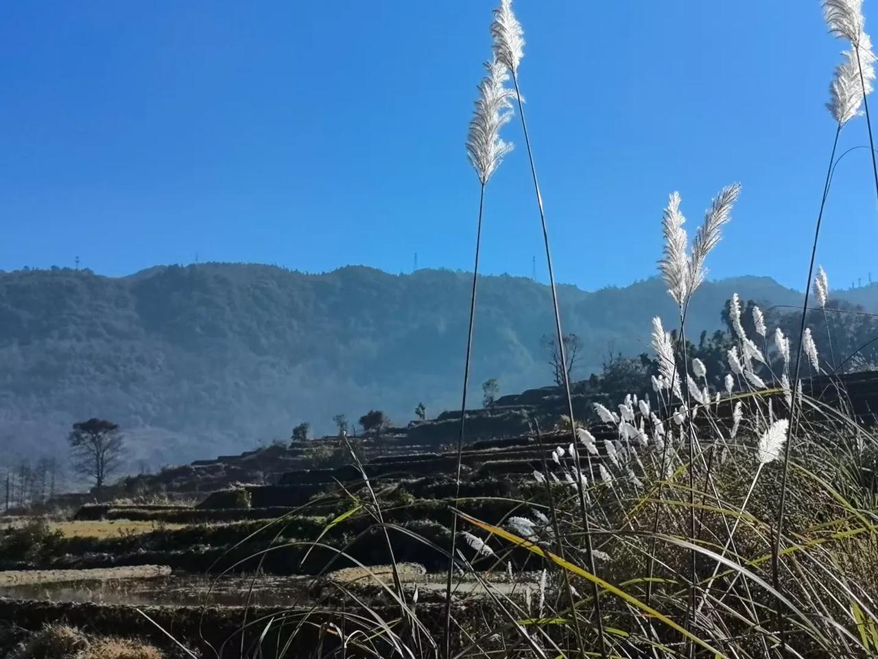 晚上约两个原先的同事吃饭，一别经年，一晃就是几年，刚认识时都是二十多的小伙子，眨