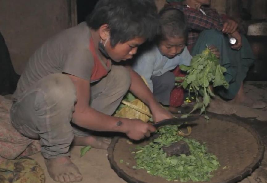 发现一个很奇怪的地方，越是没钱、文化水平低的家庭，反而越在意“传宗接代”，自己生