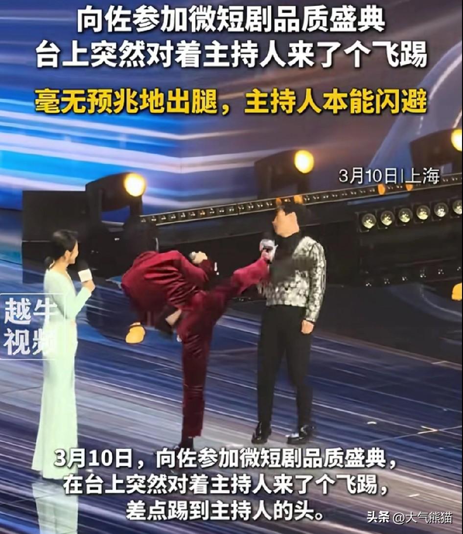 向佐这一脚，直接把自己送上的热搜。
并不是因为练过武术，这一脚踢的出神入化，而是