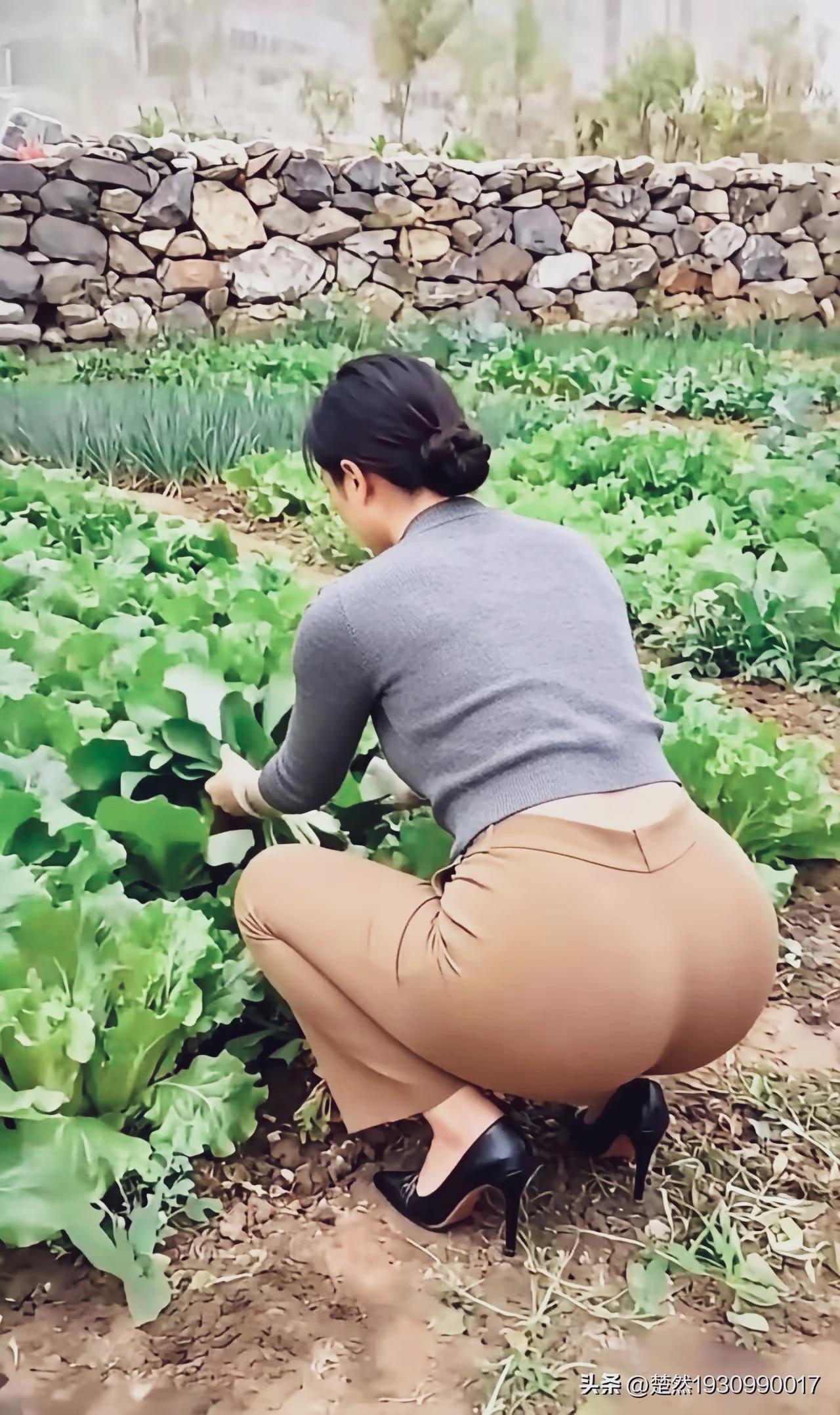 自己开个小菜园，自己种菜自己吃，健身又健康。真可谓：自己动手，丰衣足食…
农家院