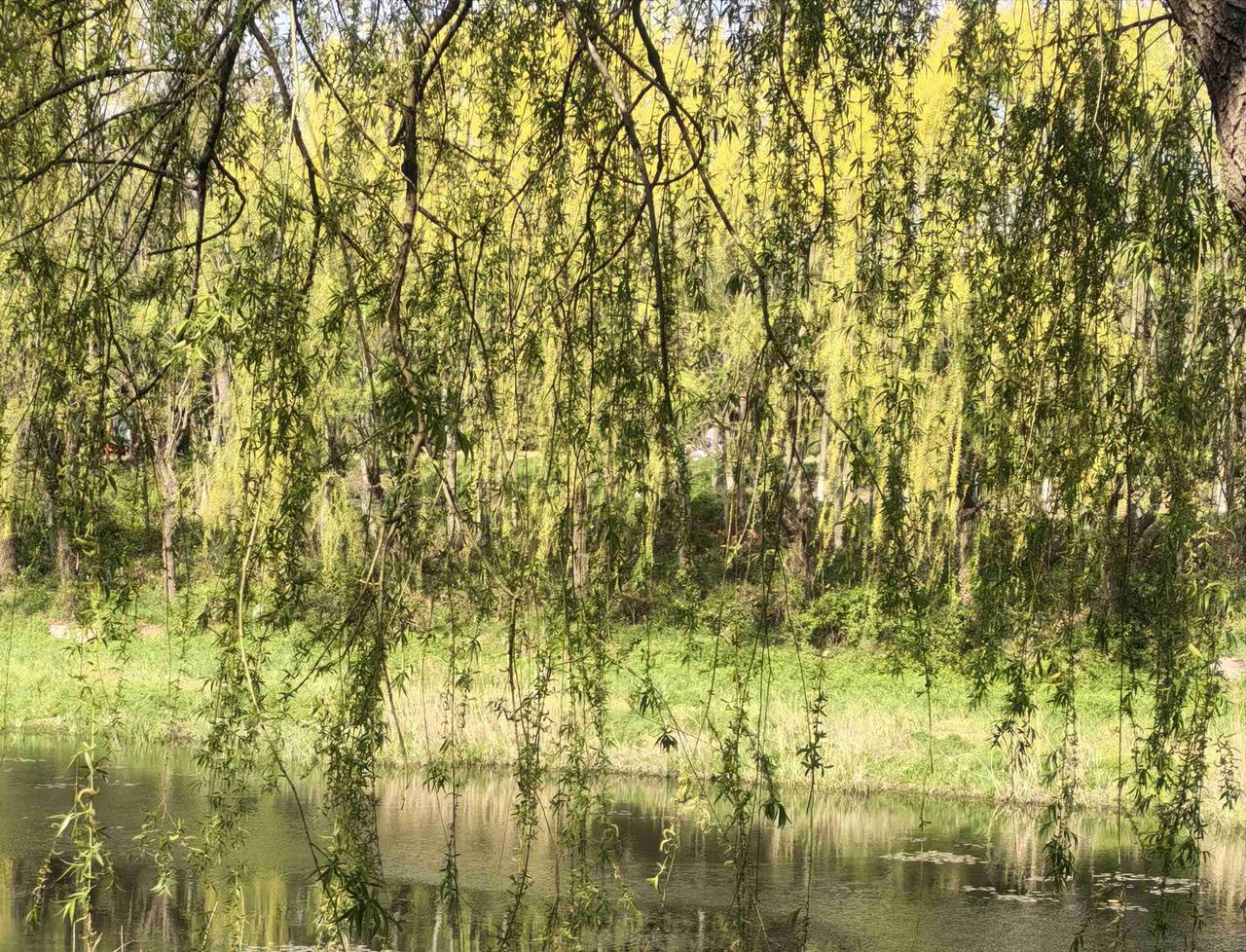 带定位晒今日生活 今天状态超棒，轻松愉快的感觉简直不要太爽！外面天气是多云，不过