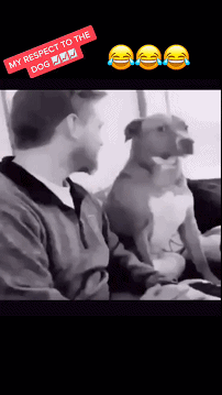 狗子：我忍你很久了