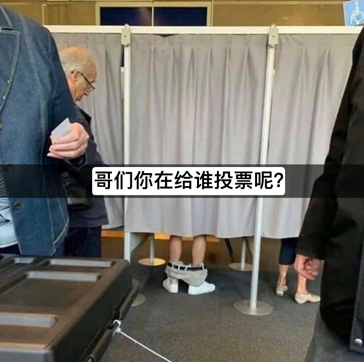 哥们估计选的是拜登#美国大选投票# ​​​