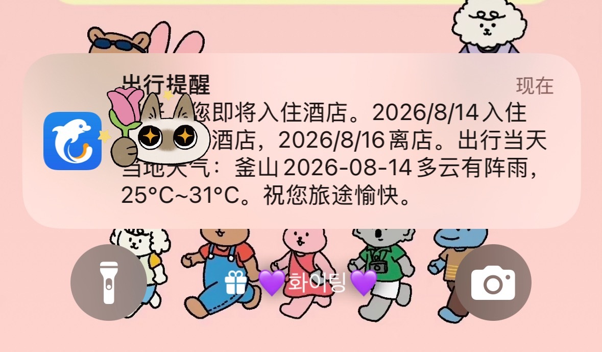 李淑元生日奖励自己替他去釜山过