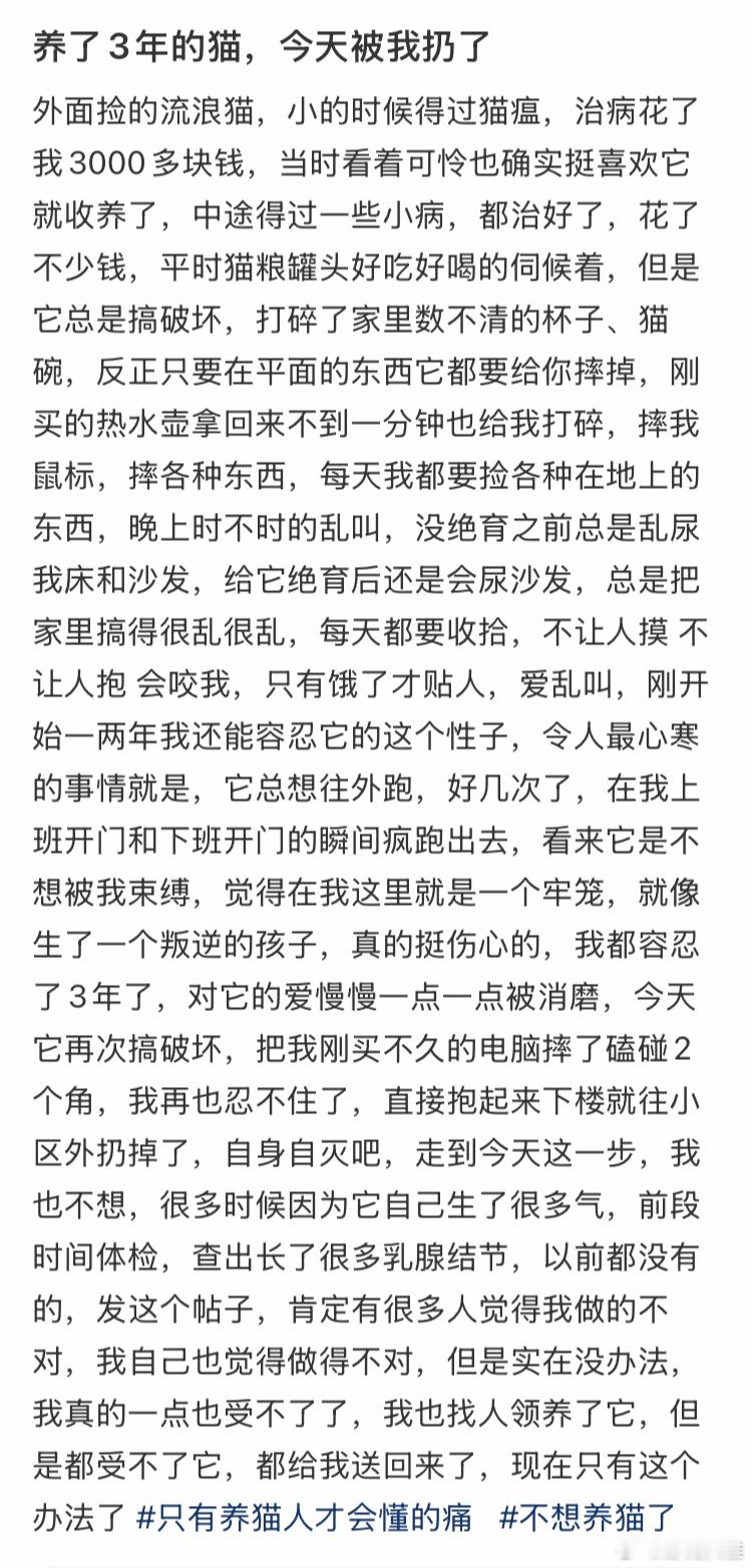 养了3年的猫，今天被我扔了… ​​​